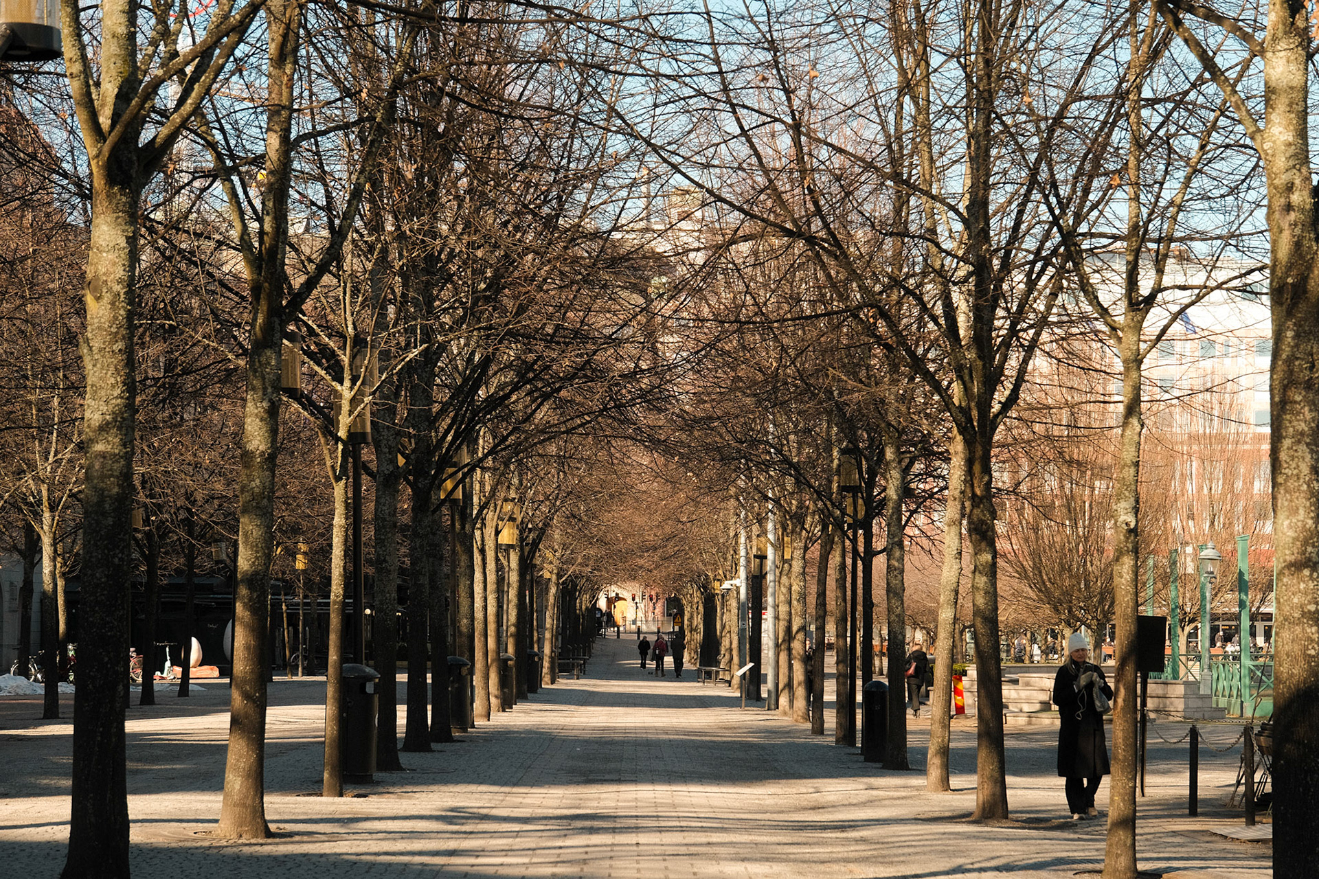 Trees in lines, time in steps.