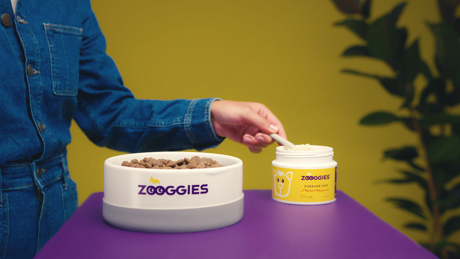 Człowiek dodaje suplement diety do karmy dla psa zoogies.