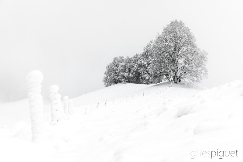 Pureté hivernale - Suisse (2020)