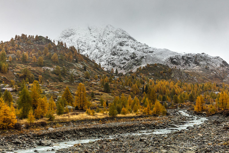 Lötschental - Suisse