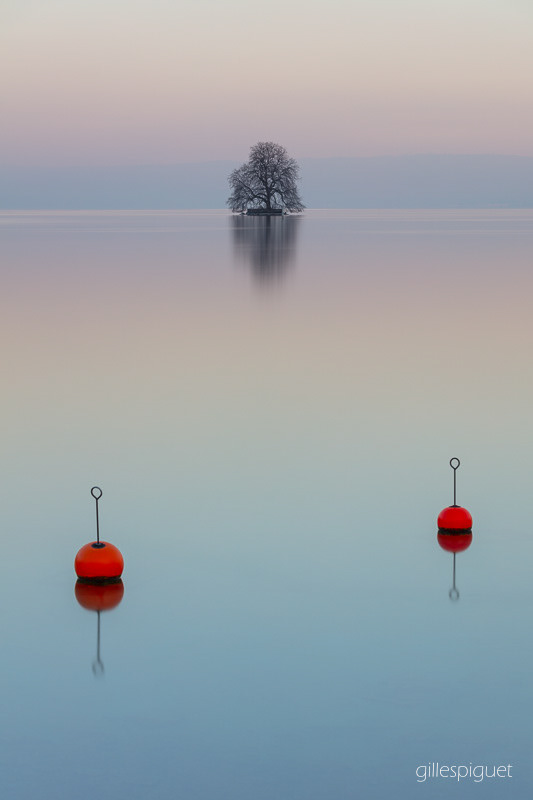 Sérénité - (Ile de Peilz)Suisse