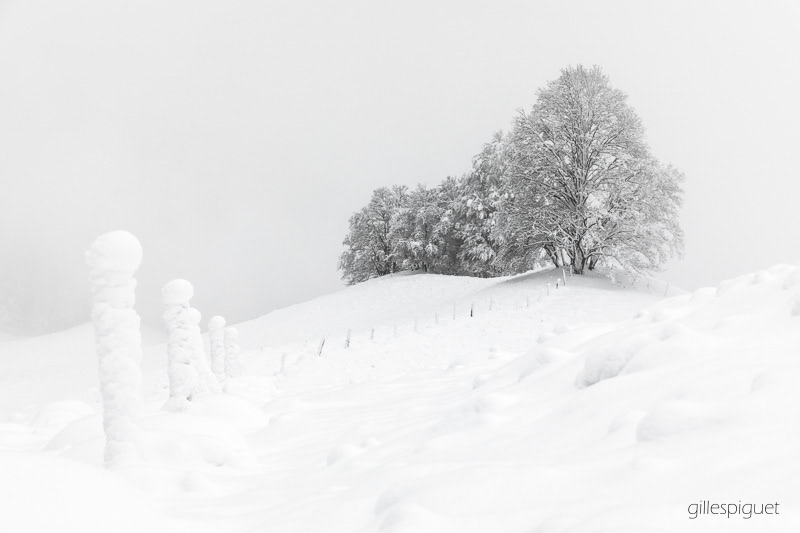 Pureté Hivernale - Suisse