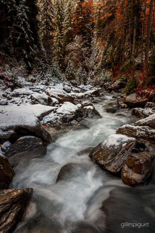 Mélange des Saisons le Long de l'Avançon de Nant - Suisse