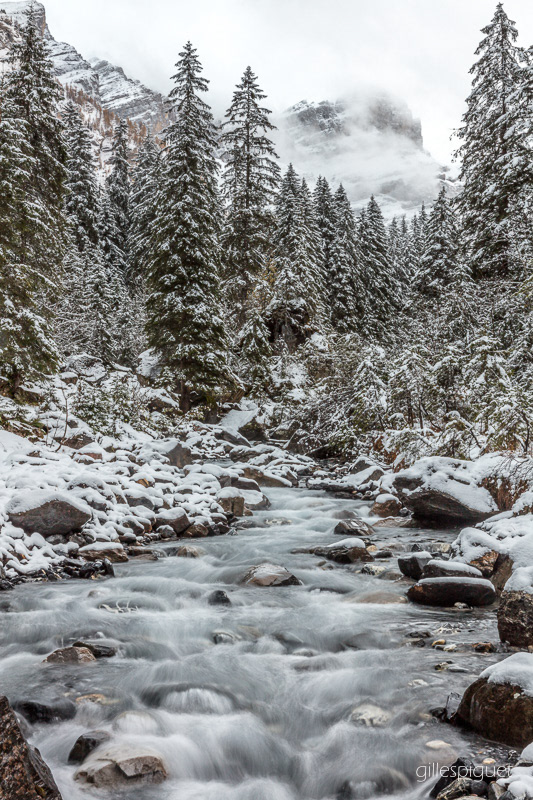 Première Neige dans le Vallon de Nant - Suisse 