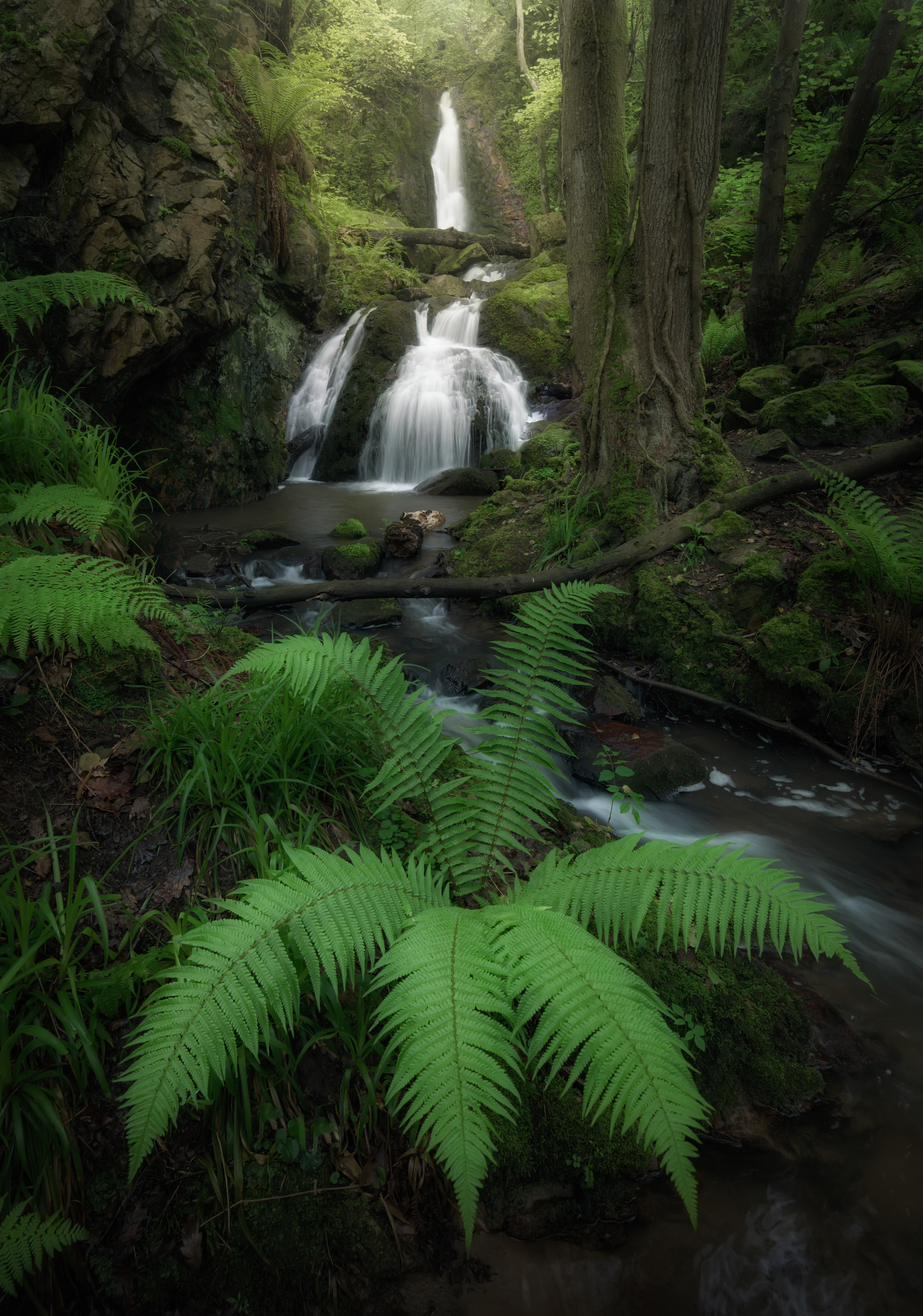 Cascadas de Guanga