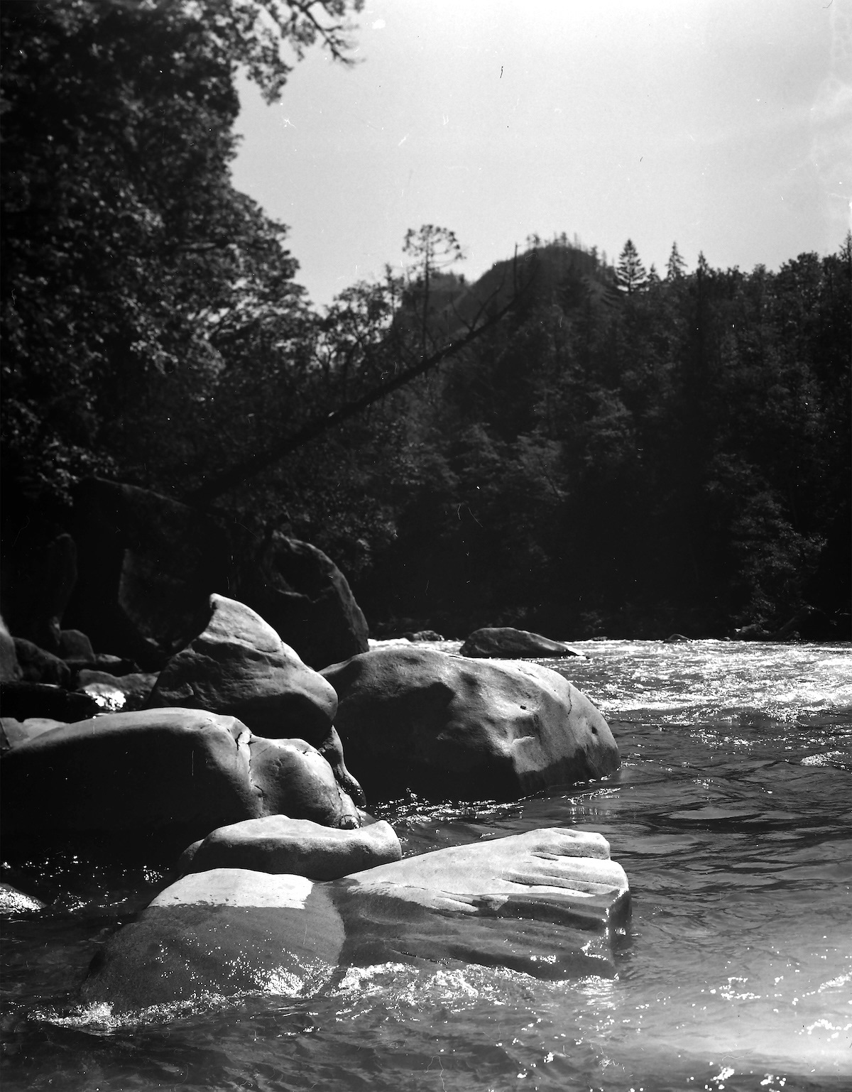 4x5in Black & White Ilford HP5 Plus 400iso 2024