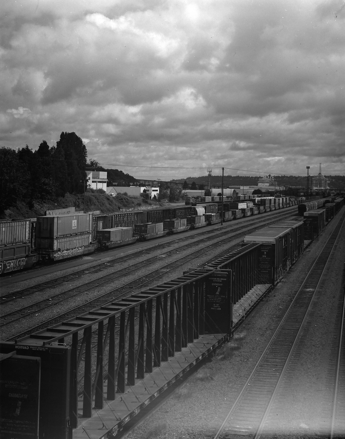 4x5in Black & White Ilford HP5 Plus 400iso 2024