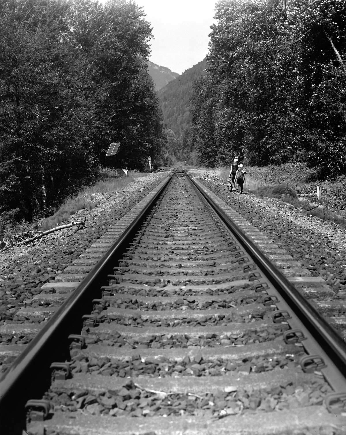 4x5in Black & White Ilford HP5 Plus 400iso 2024