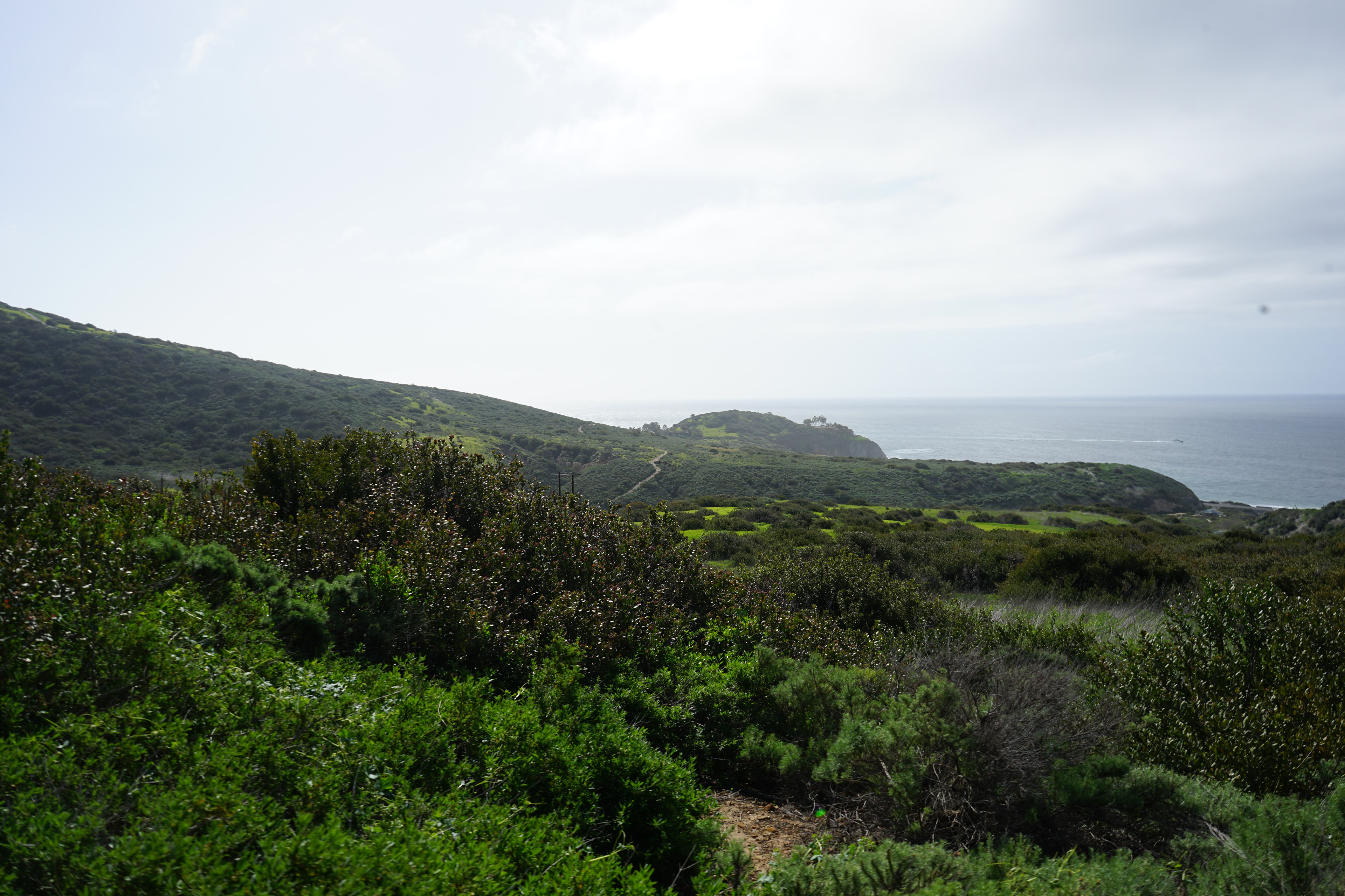 Newport Beach, California 
