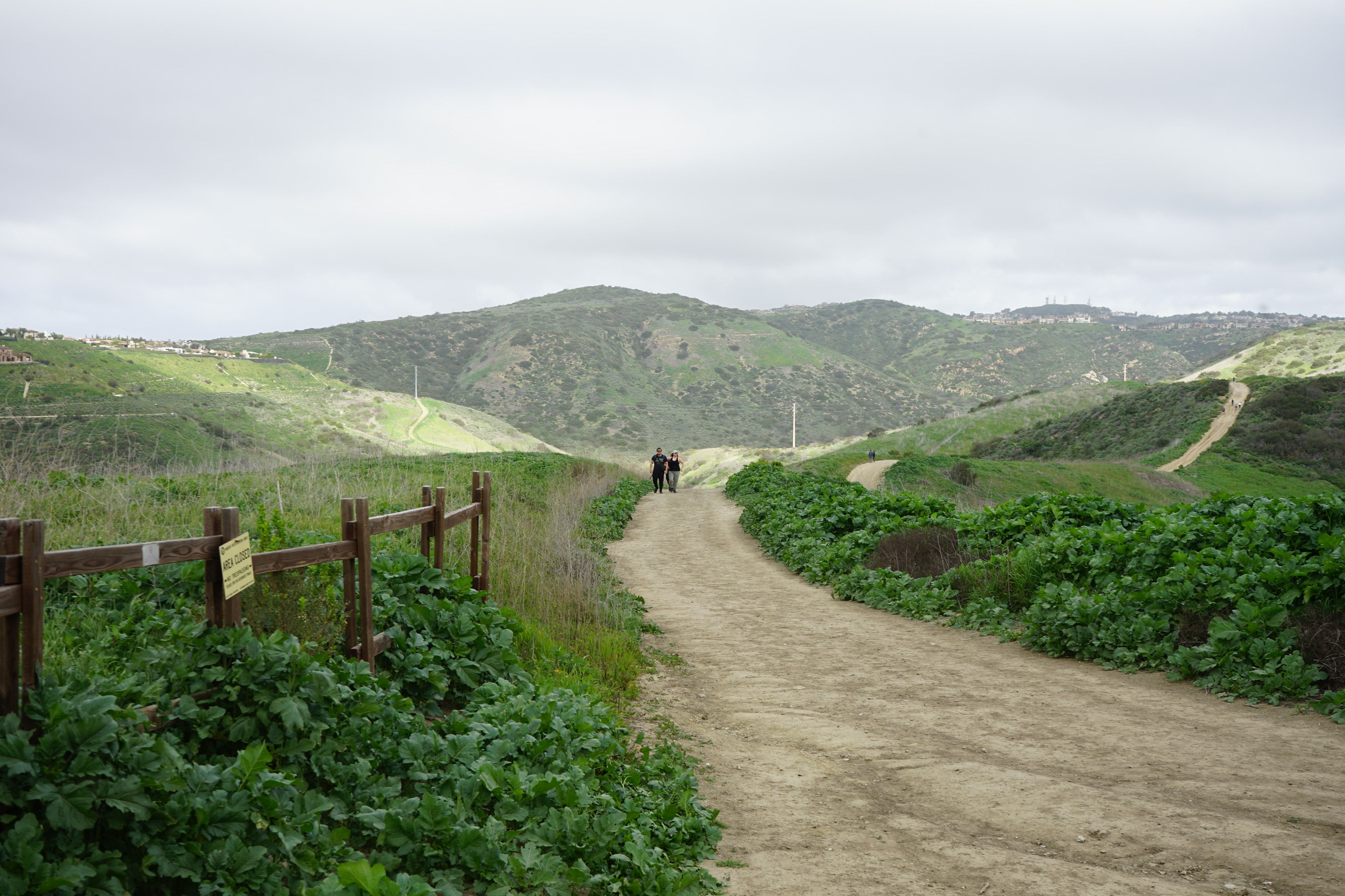 Newport Beach, California 