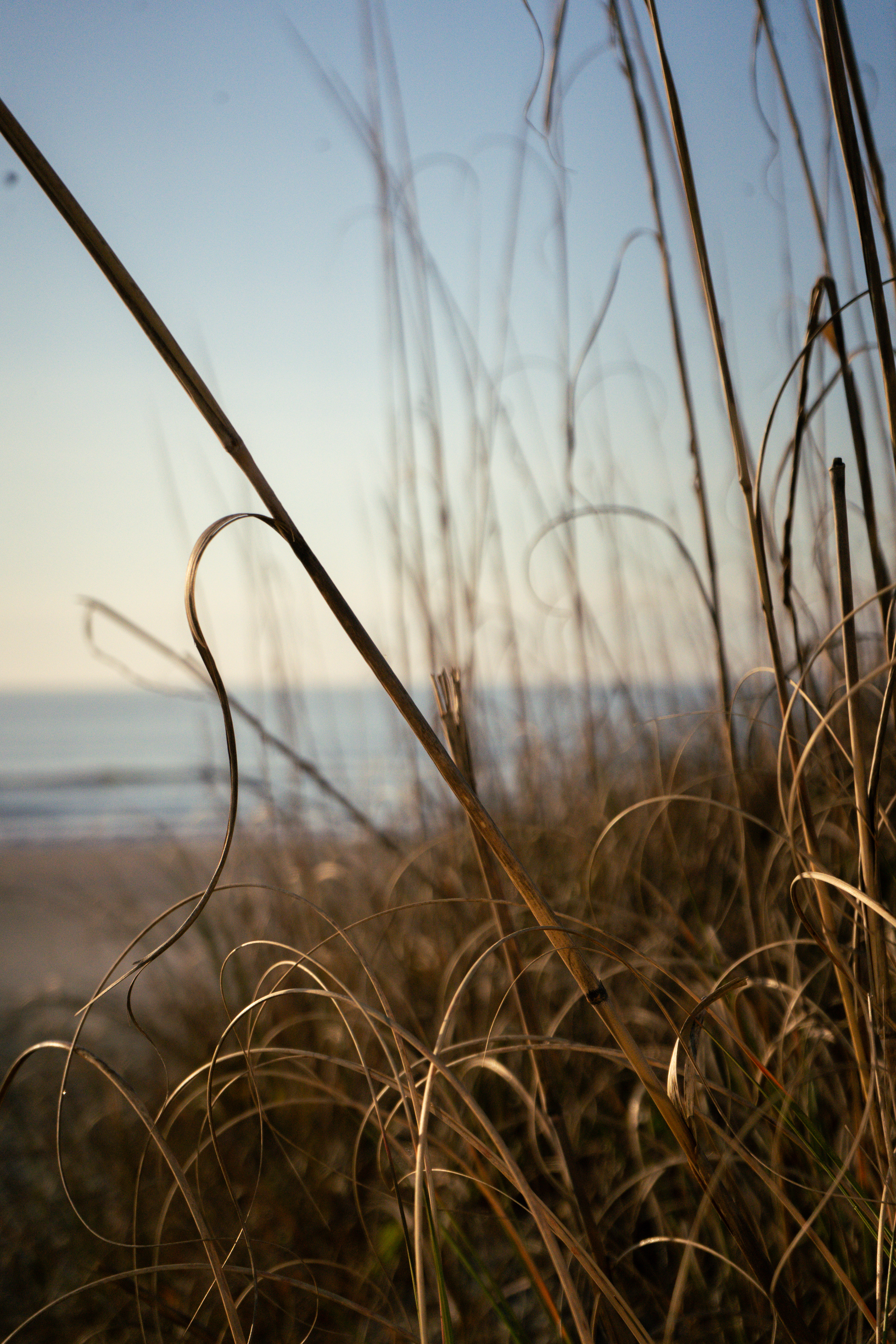 Isle of Palms, South Carolina 