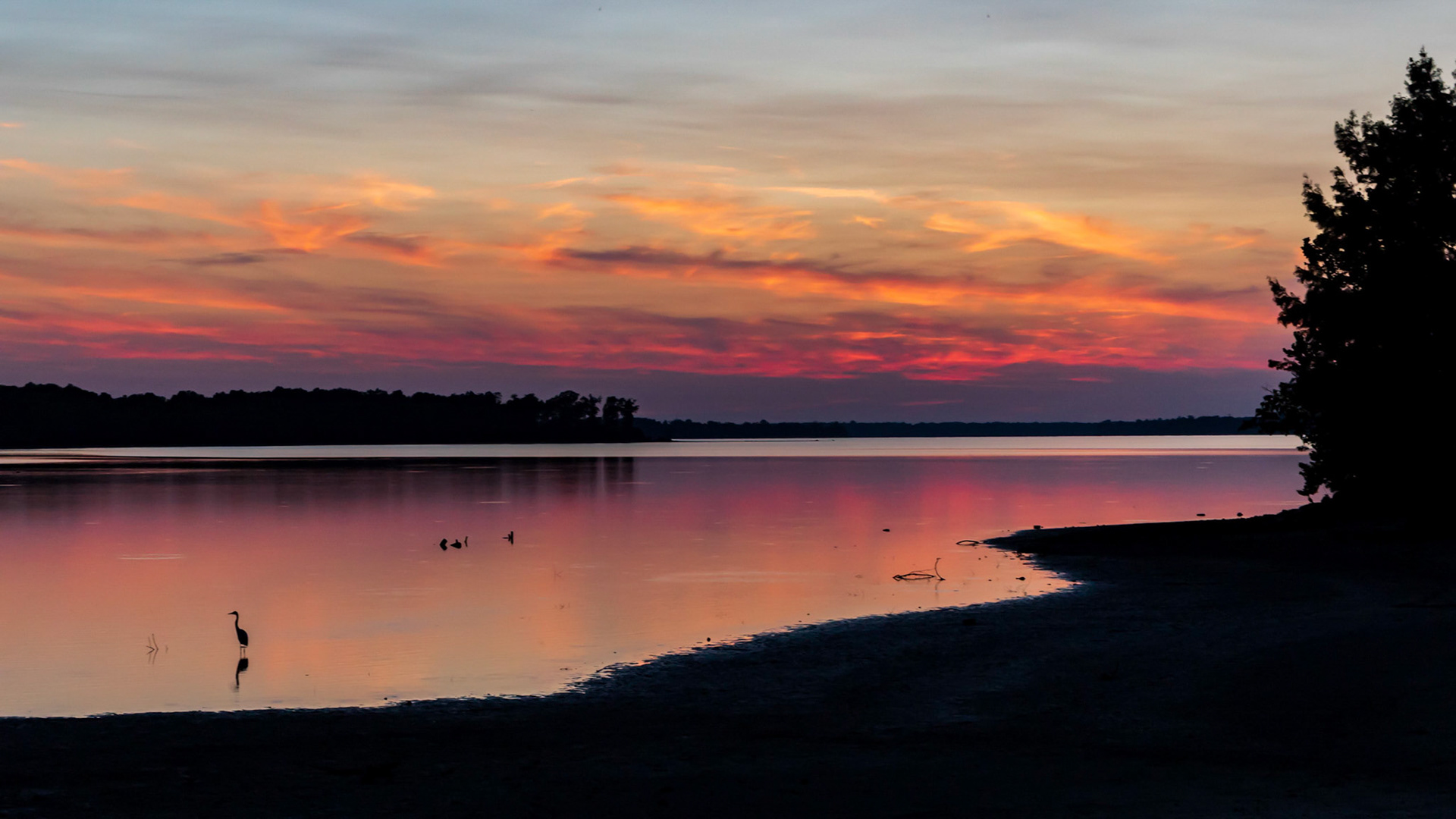 Low point of lake drain to repair spillway last year.
