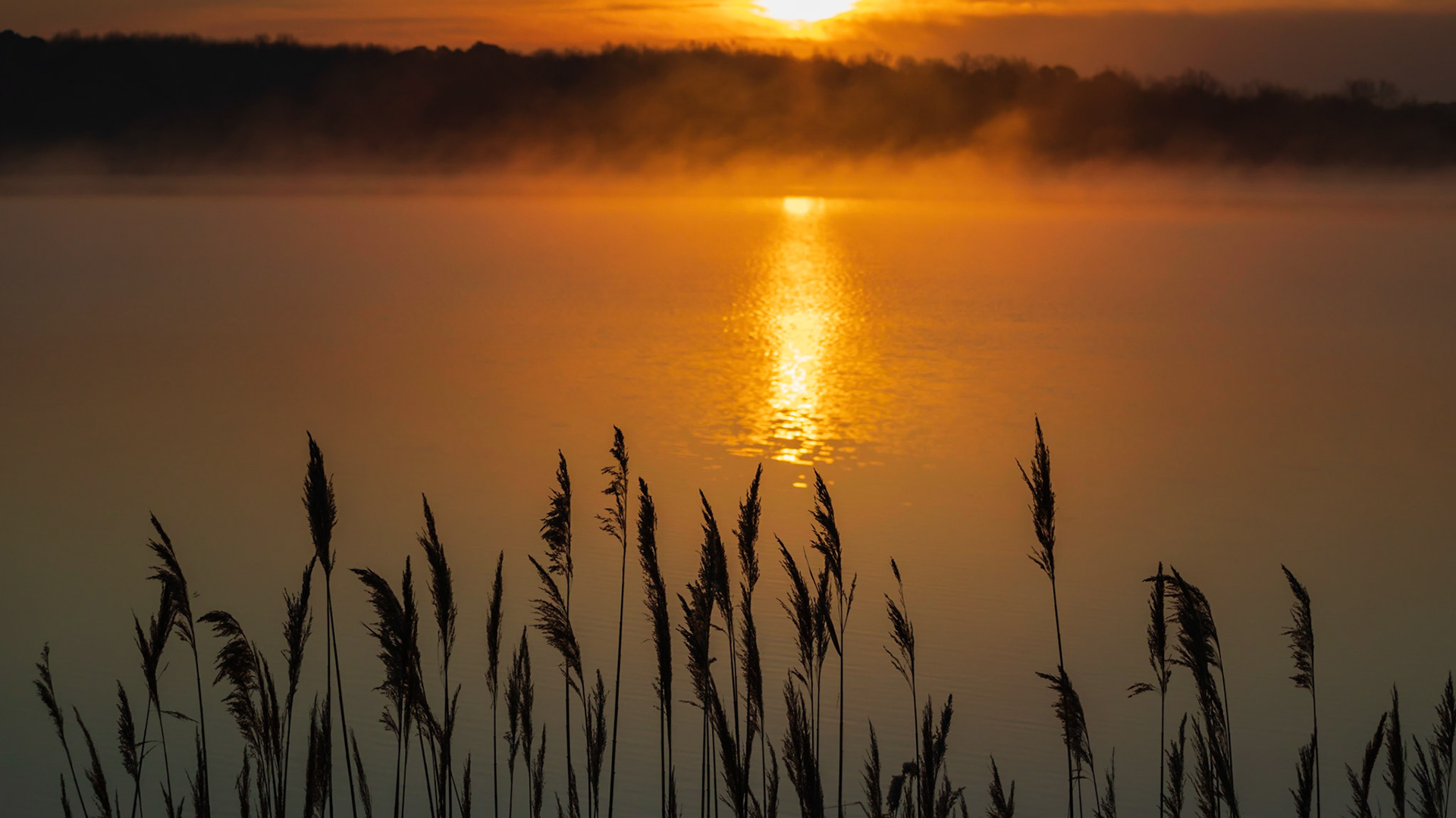 Sunrise with fog and reflection.