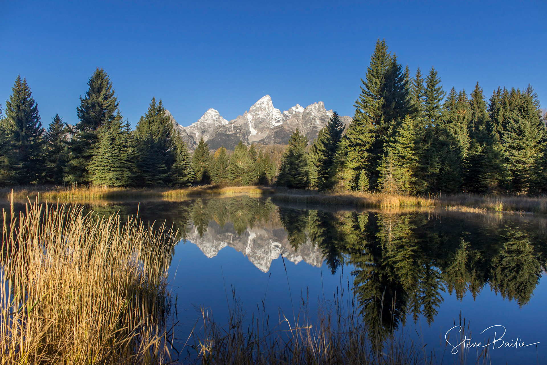 Schwabacher Landing GTNP