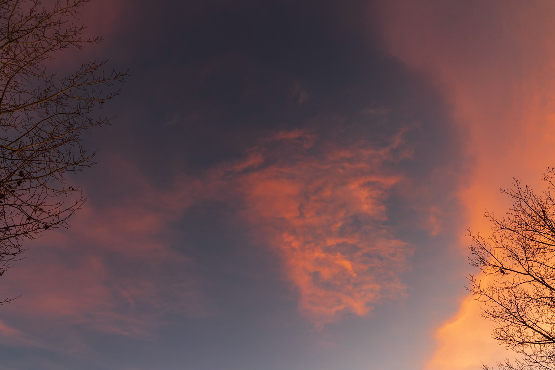 View from our Daughter's Deck.