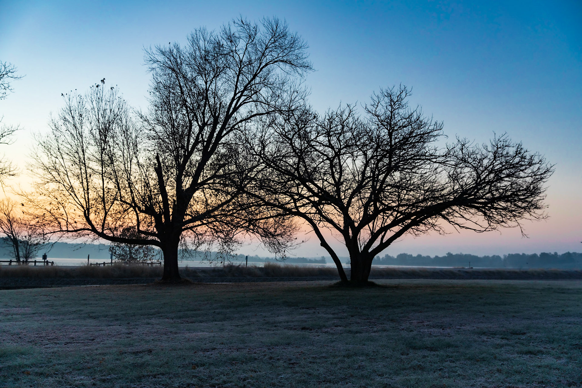 Cold morning from Bogard Pt.