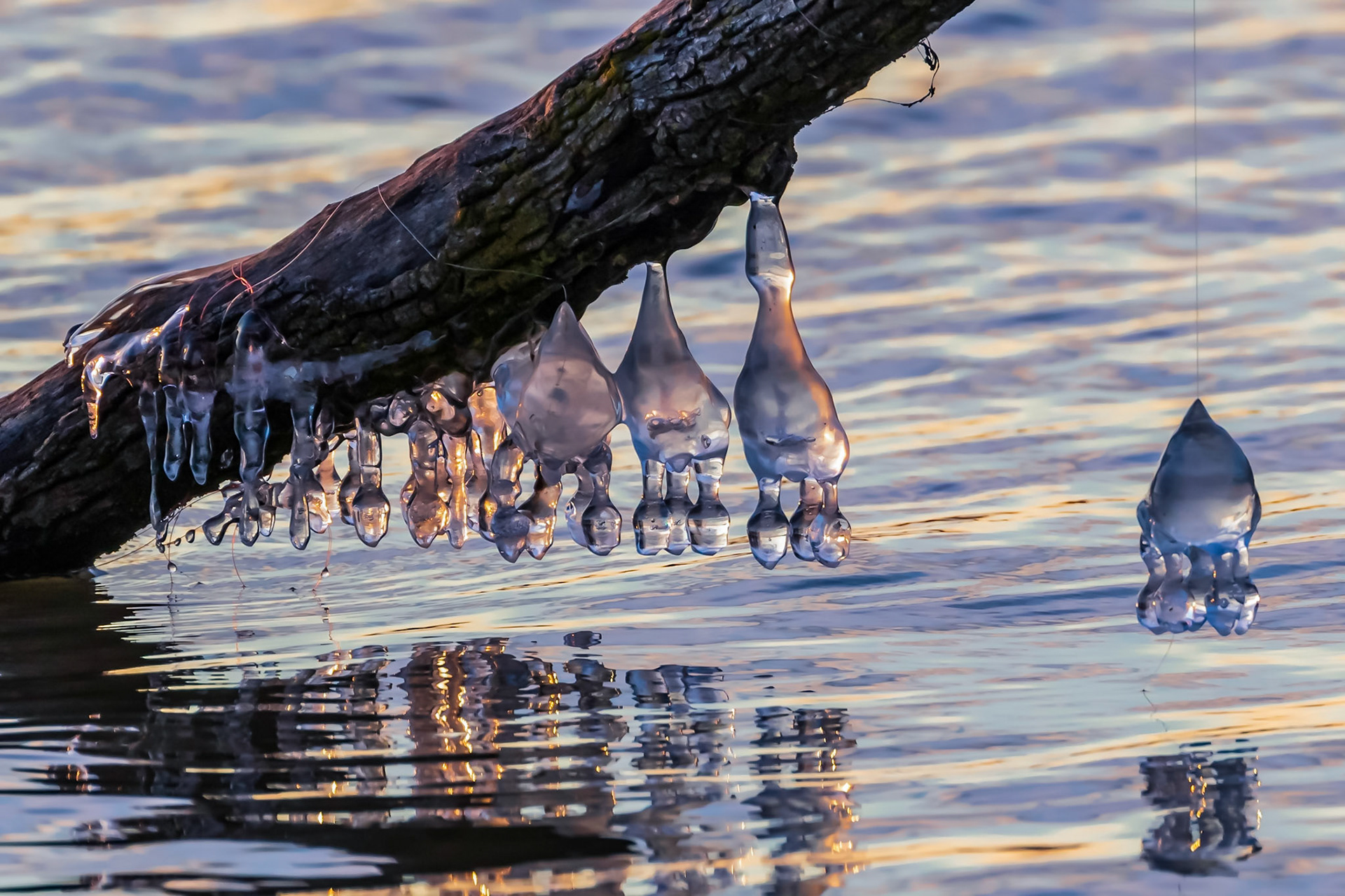 Probably my most unique photo. 