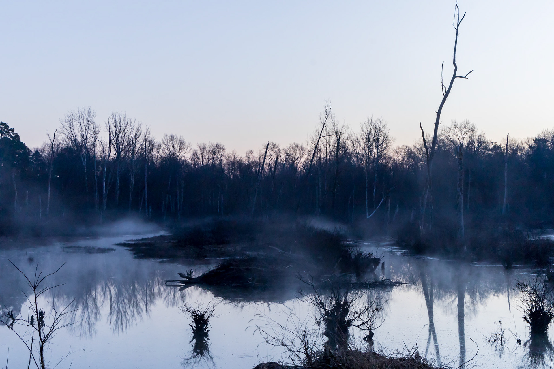 Misty morning at the Beaver Pond.
