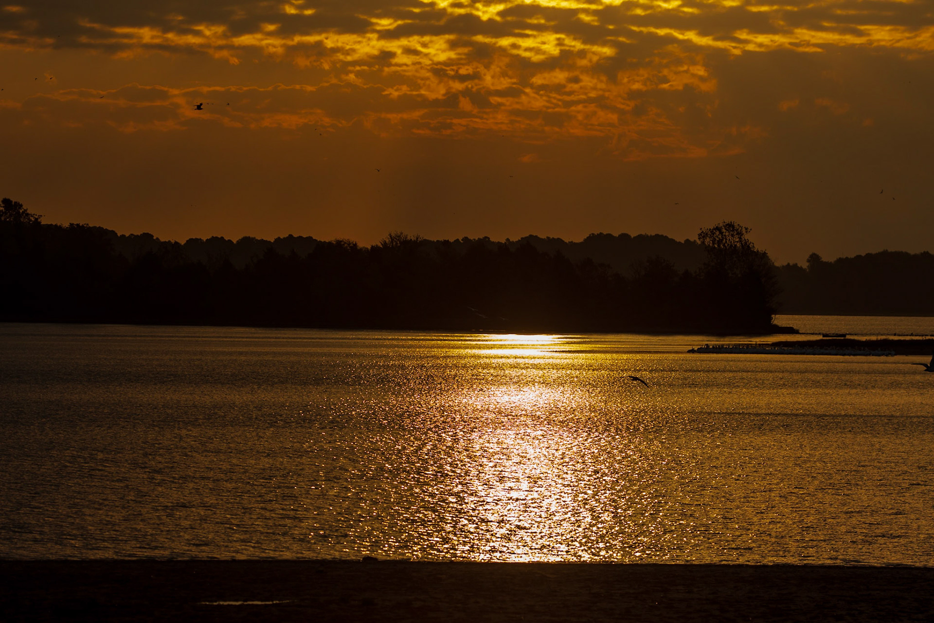 The colors change so rapidly.