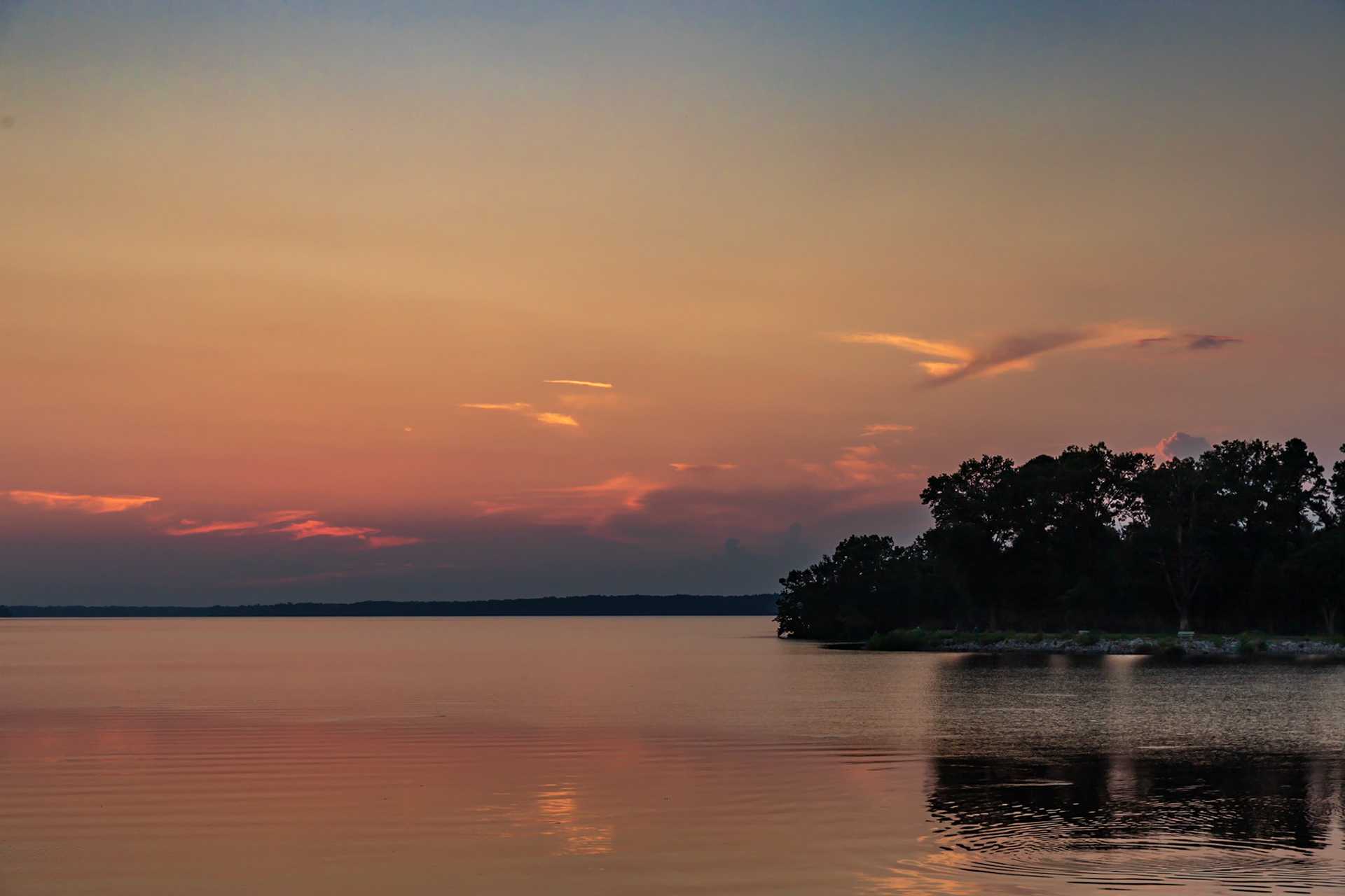 Cloud Bird on the right?