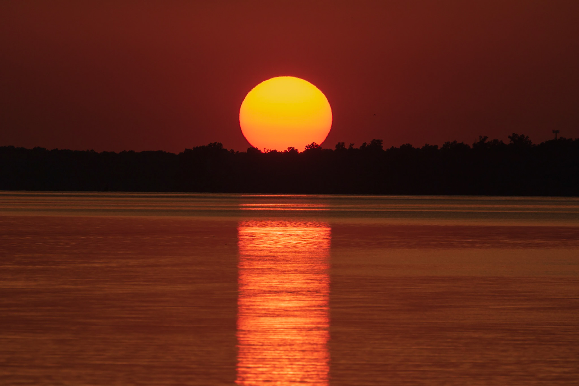 This looks manipulated, but effect of 800mm lens.