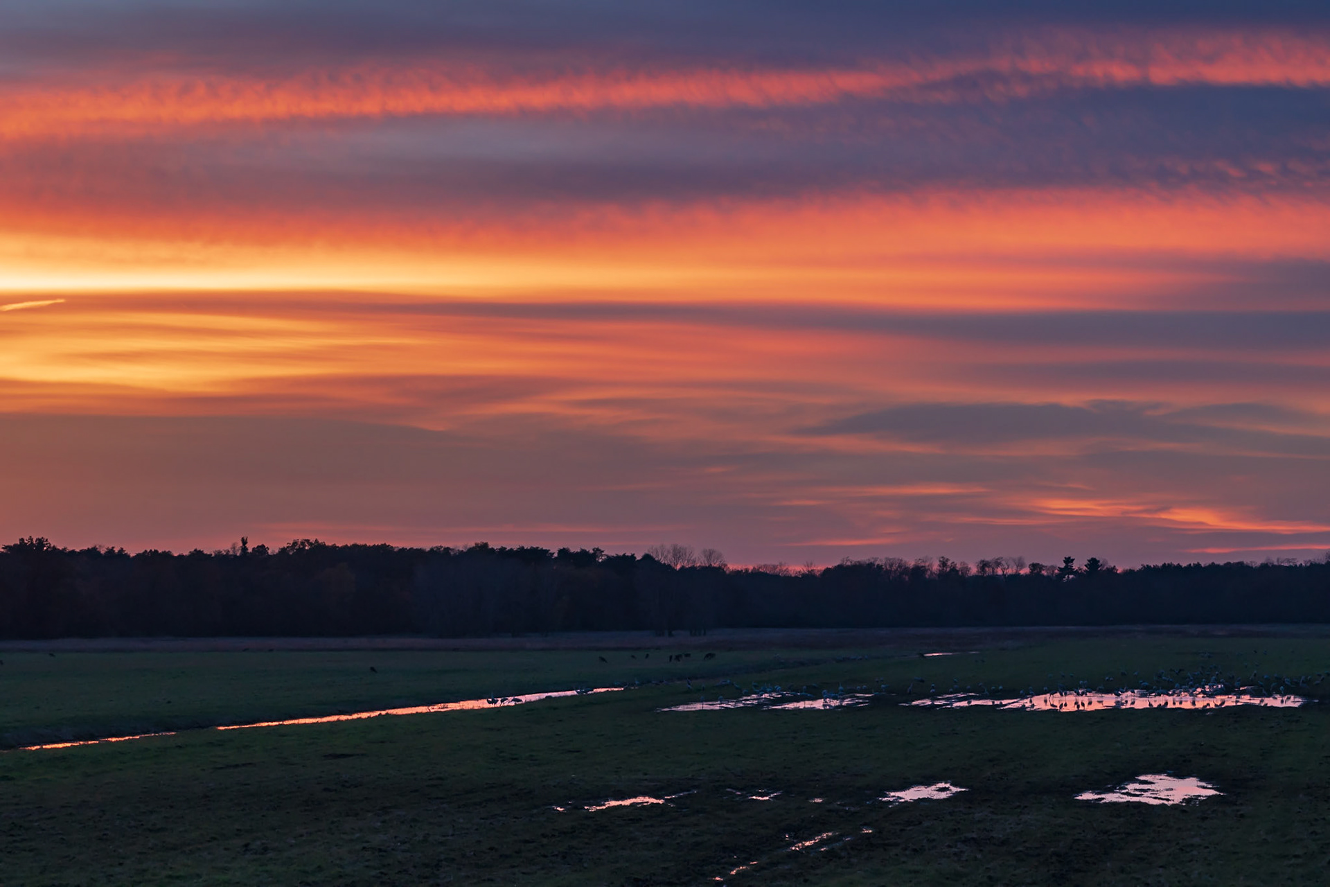 Sunset after Cranes went to roost.