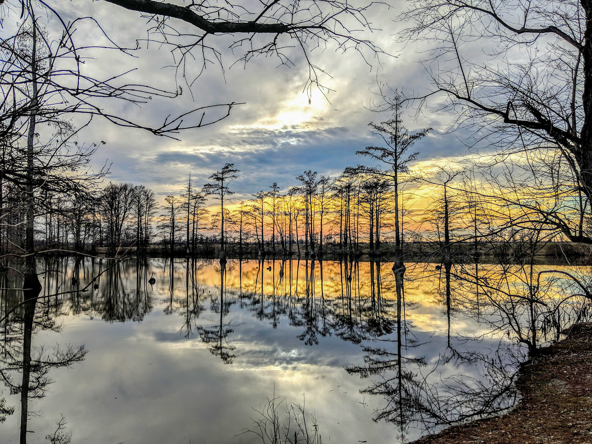 Horseshoe Lake Sunset from Phone.