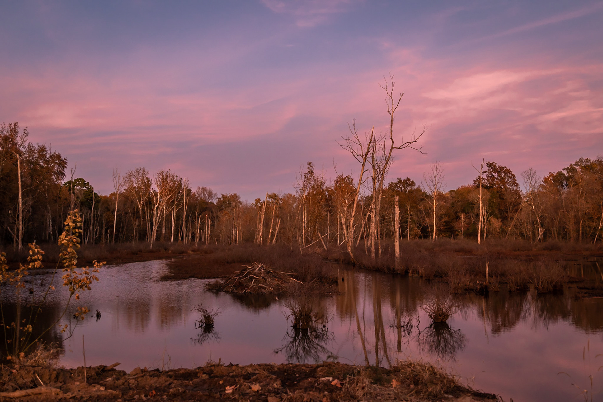 Beaver Pond in evening glow.