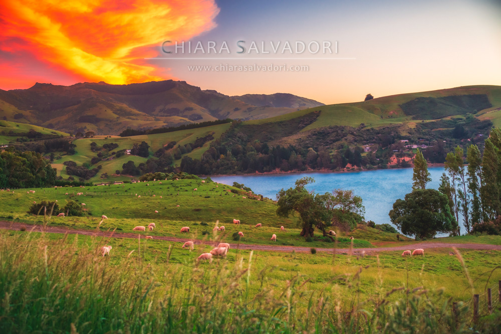 Akaroa