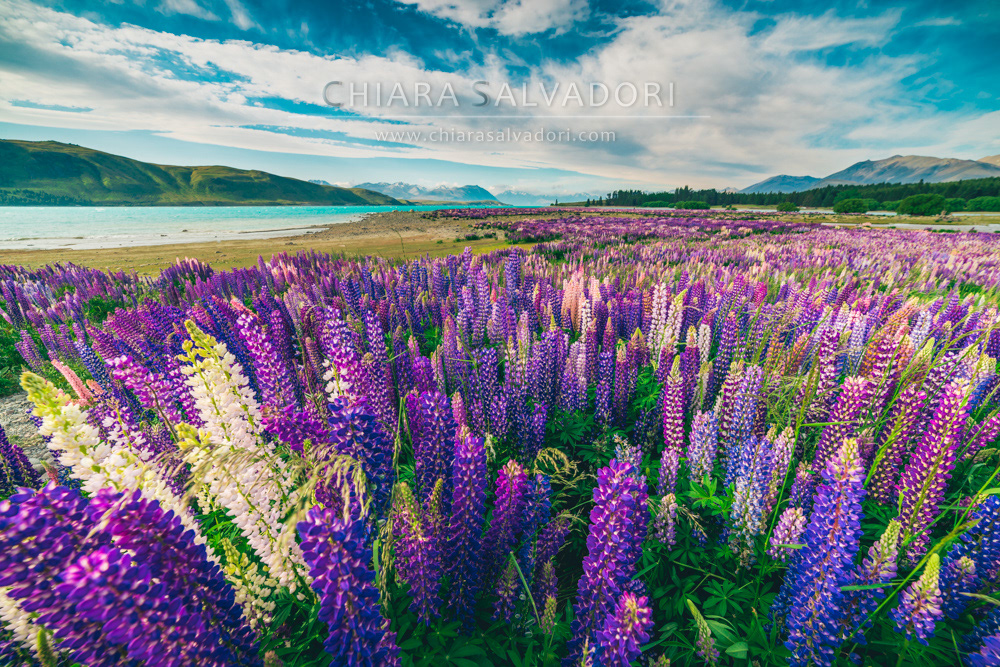 Lake Tekapo