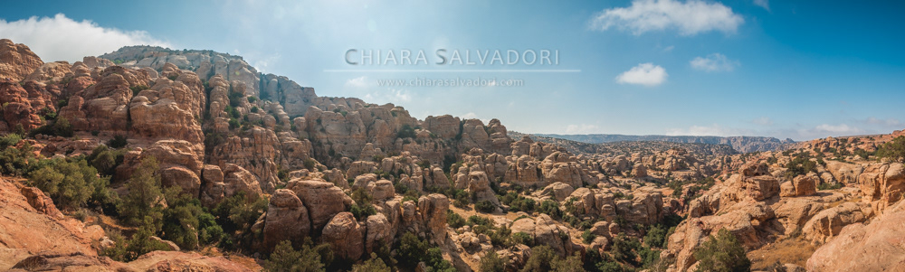 Dana Biosphere Reserve