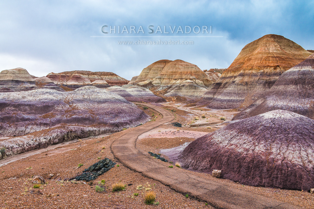 Blue Mesa, Petrified Forest National Park
