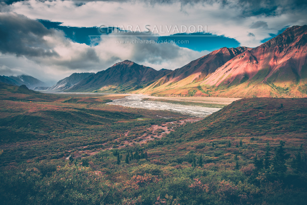 Denali National Park