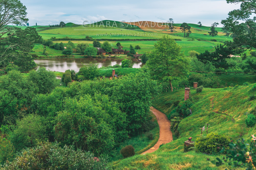 Hobbiton Movie Set