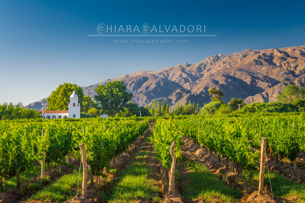 Cafayate