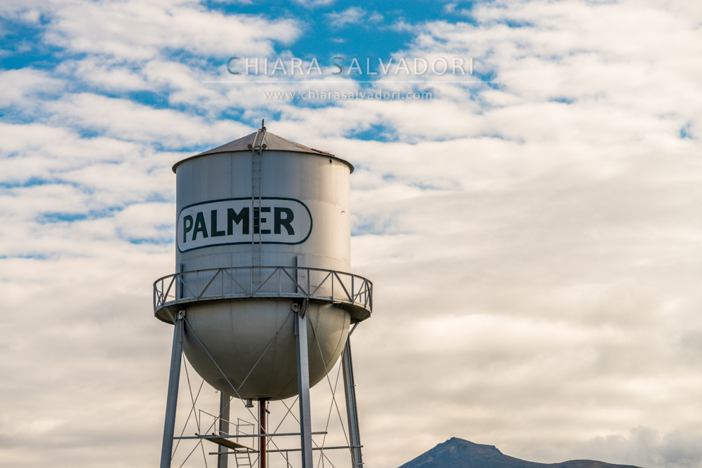 Palmer