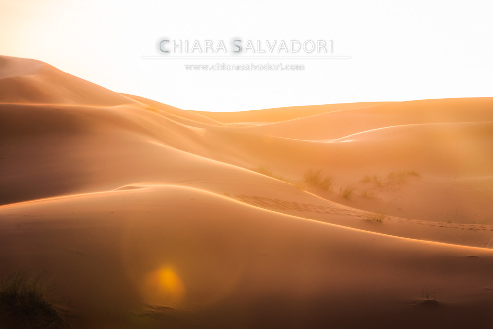 Sahara Desert