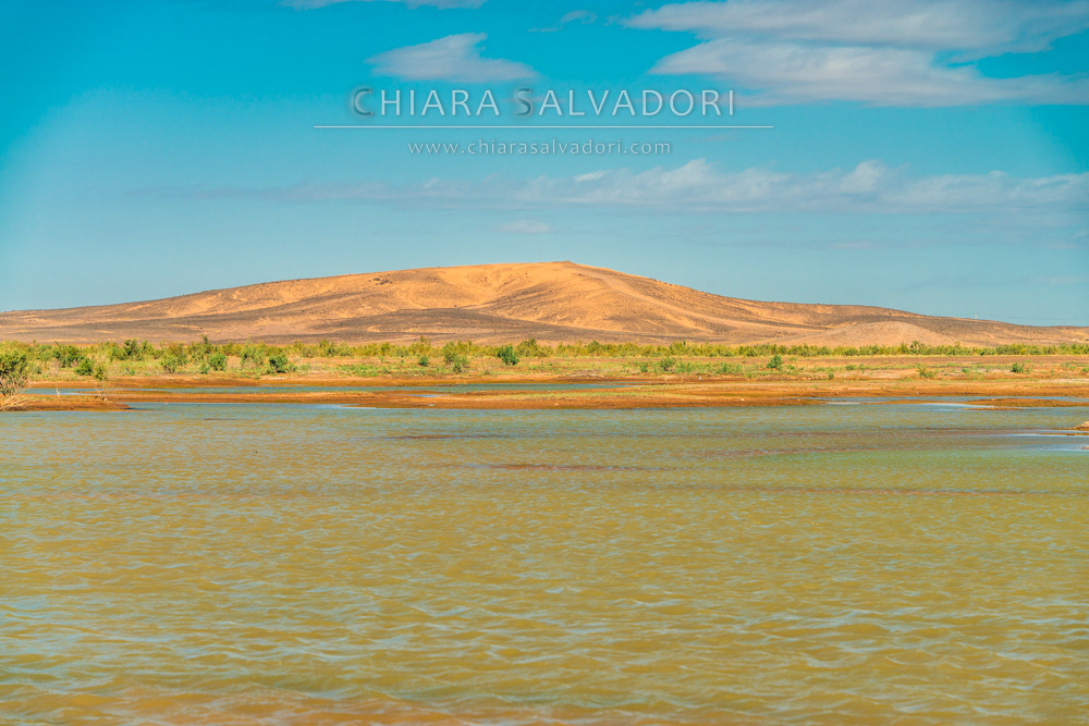 Merzouga Lake