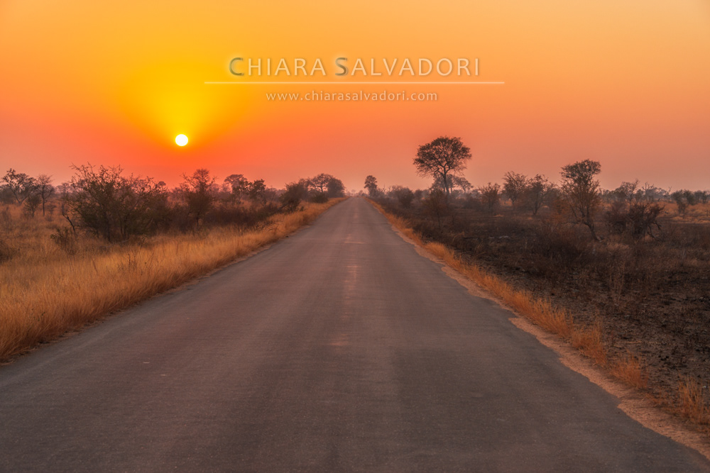 Kruger National Park