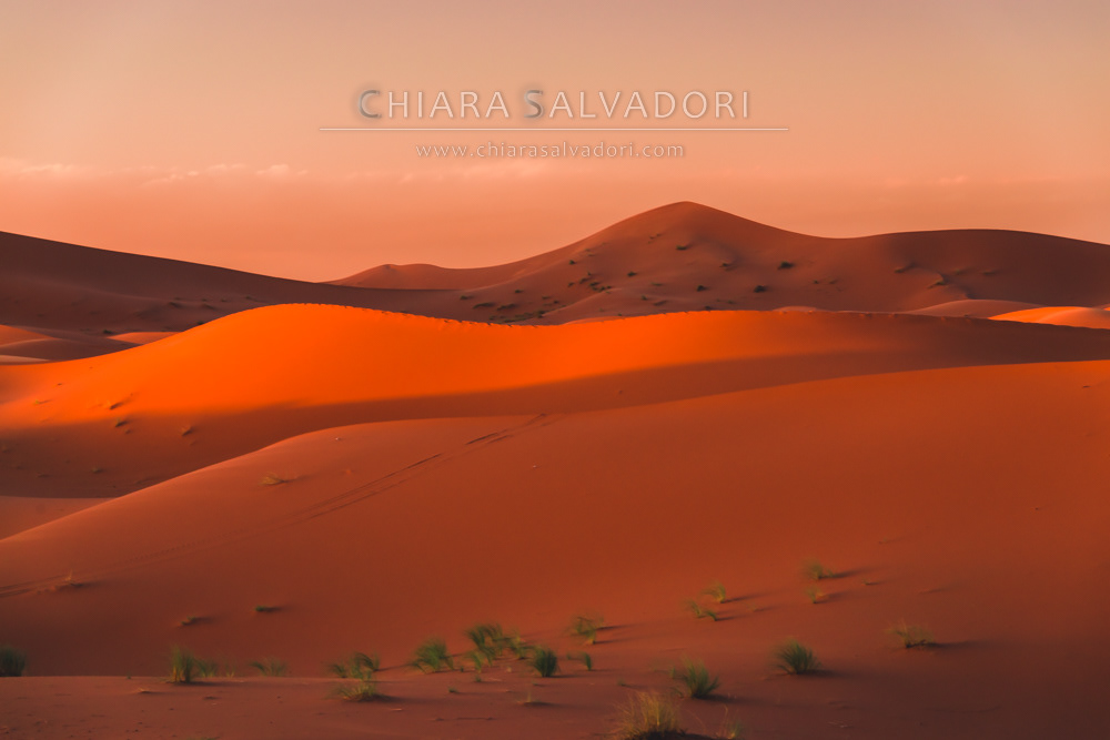 Sahara Desert