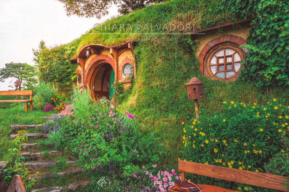 Hobbiton Movie Set