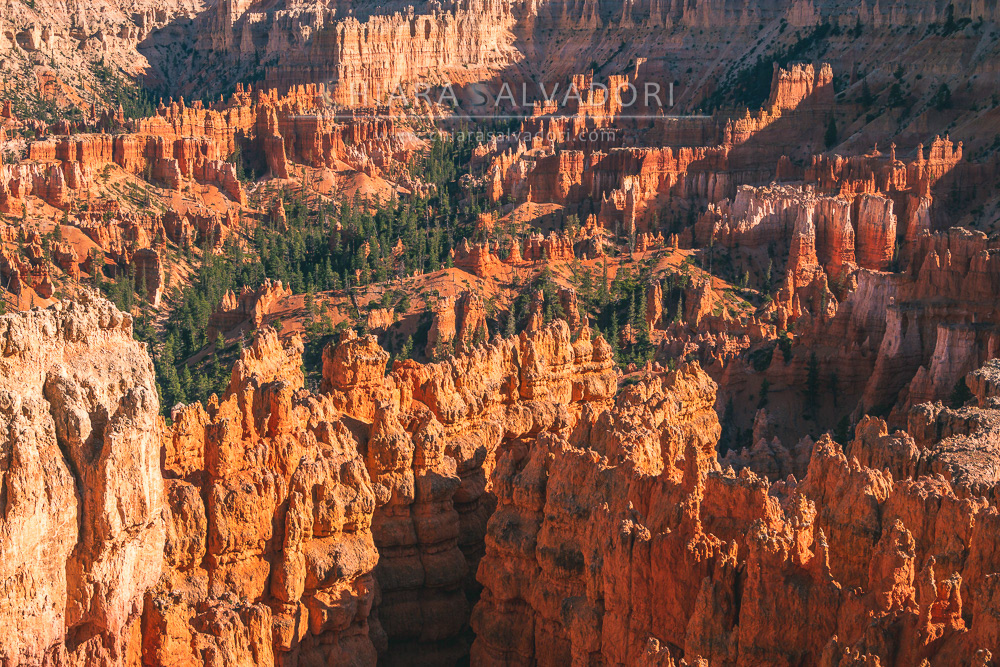 Bryce Canyon National Park