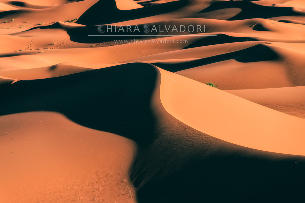 Sahara Desert