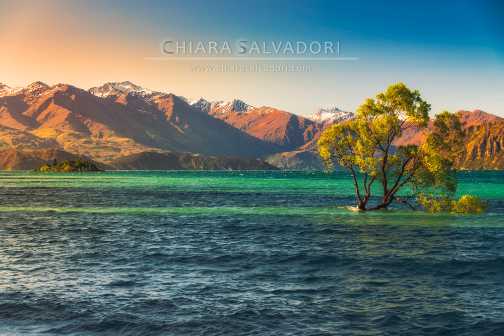 Lake Wanaka