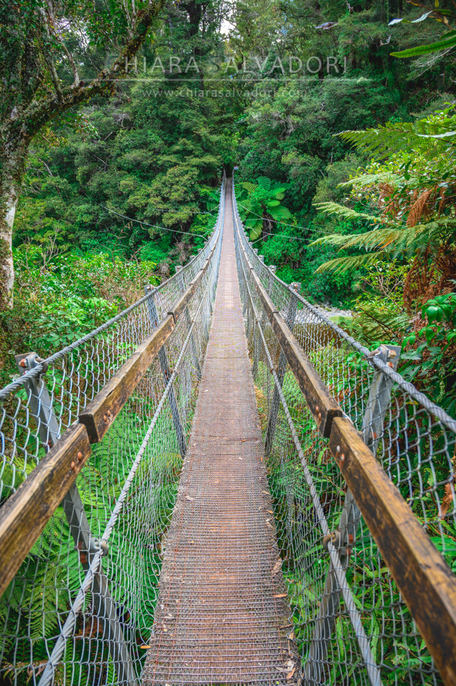 Kaitoke Regional Park