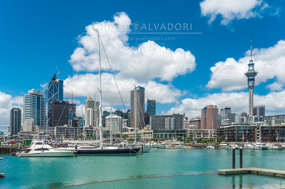 Auckland Skyline from Karanga Plaza