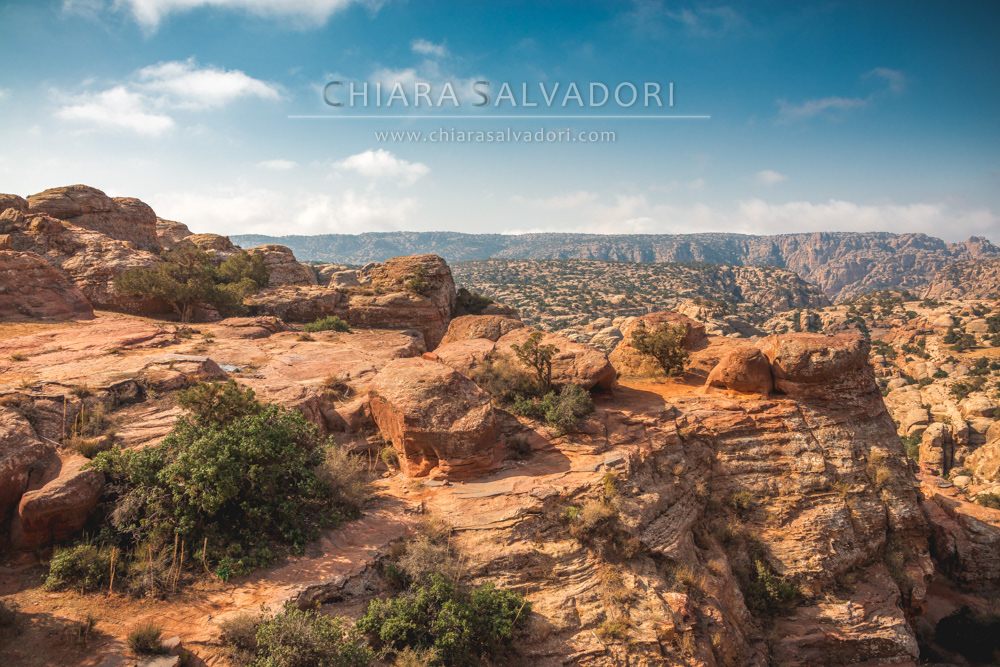 Dana Biosphere Reserve
