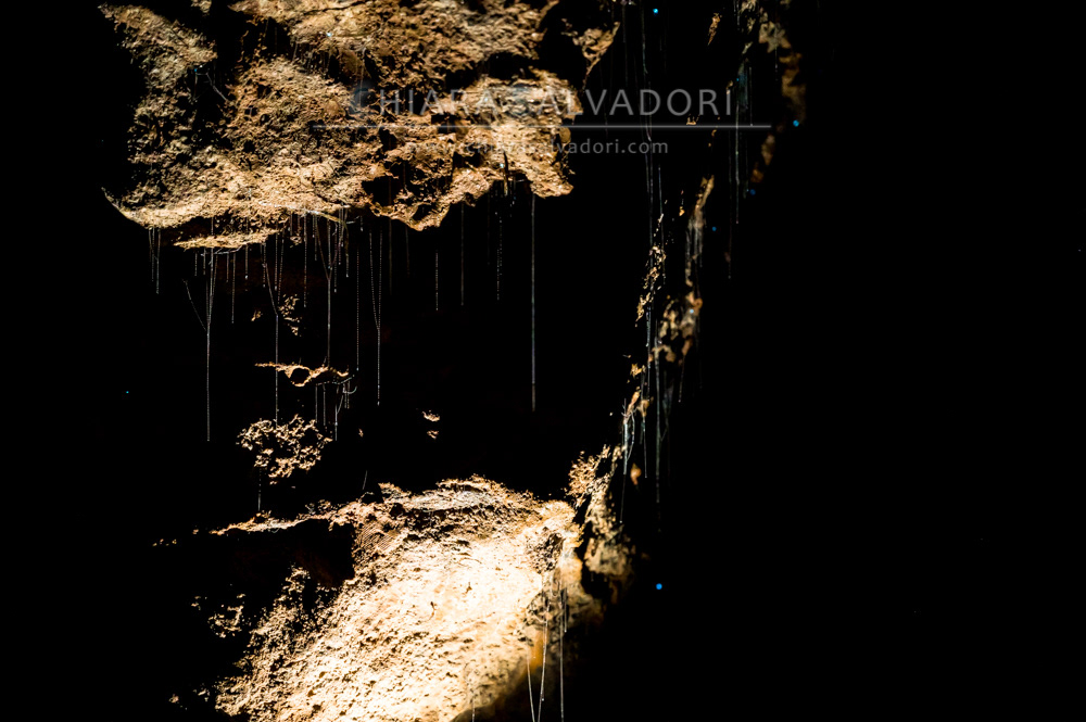 Ruakuri Cave