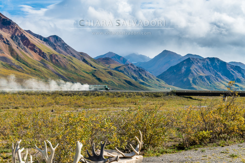 Denali National Park
