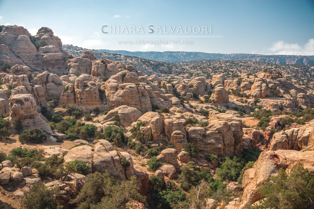 Dana Biosphere Reserve